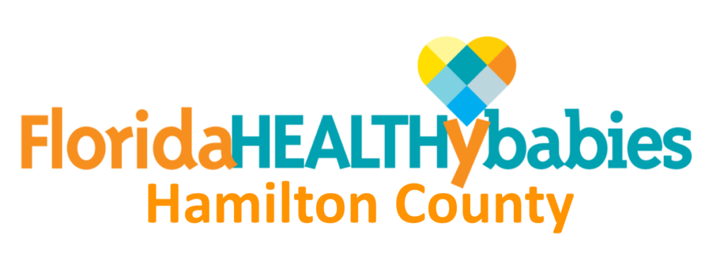 Florida Healthy Babies Hamilton County program logo